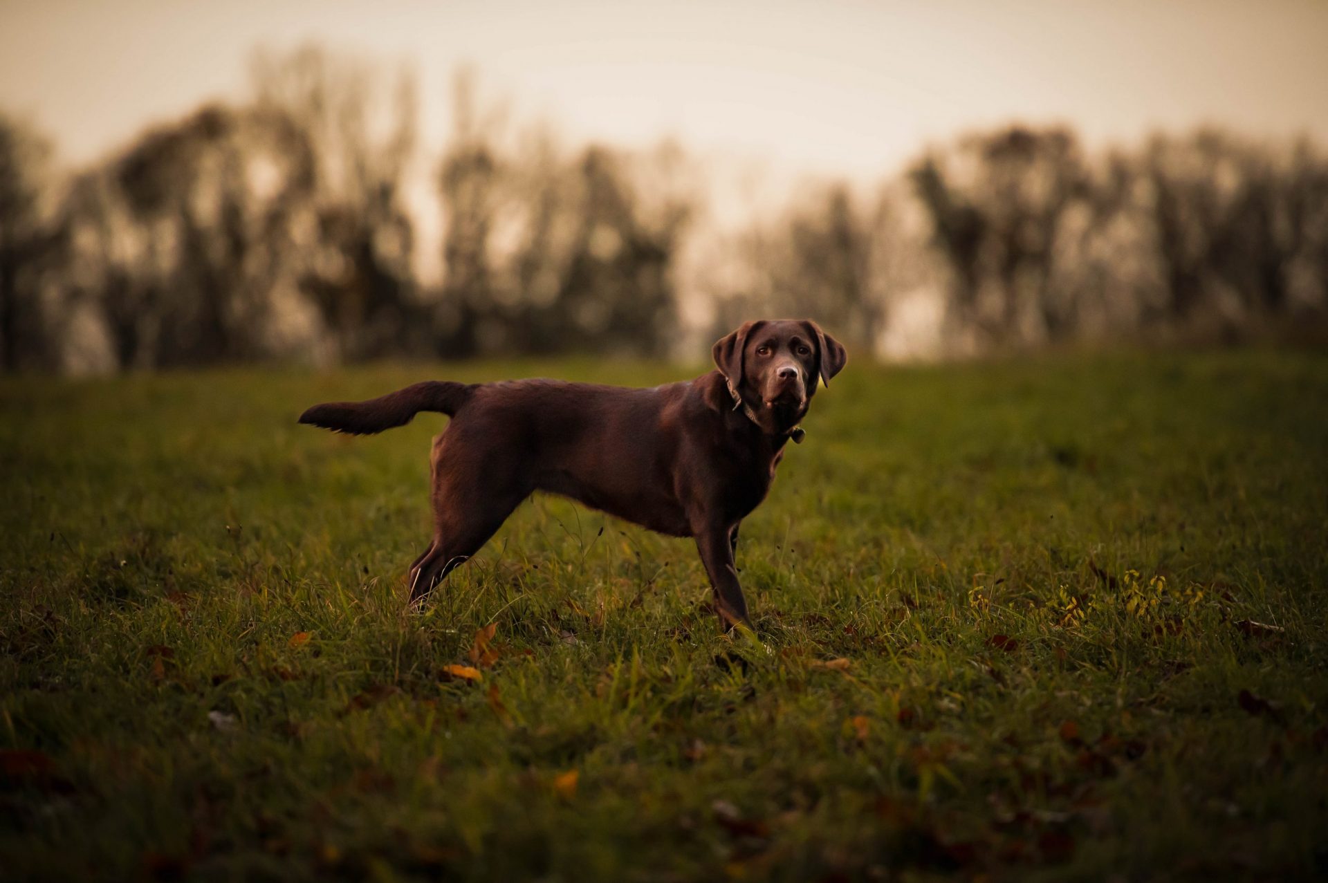 Kopie von Kopie von 2.Fanz.F.–14