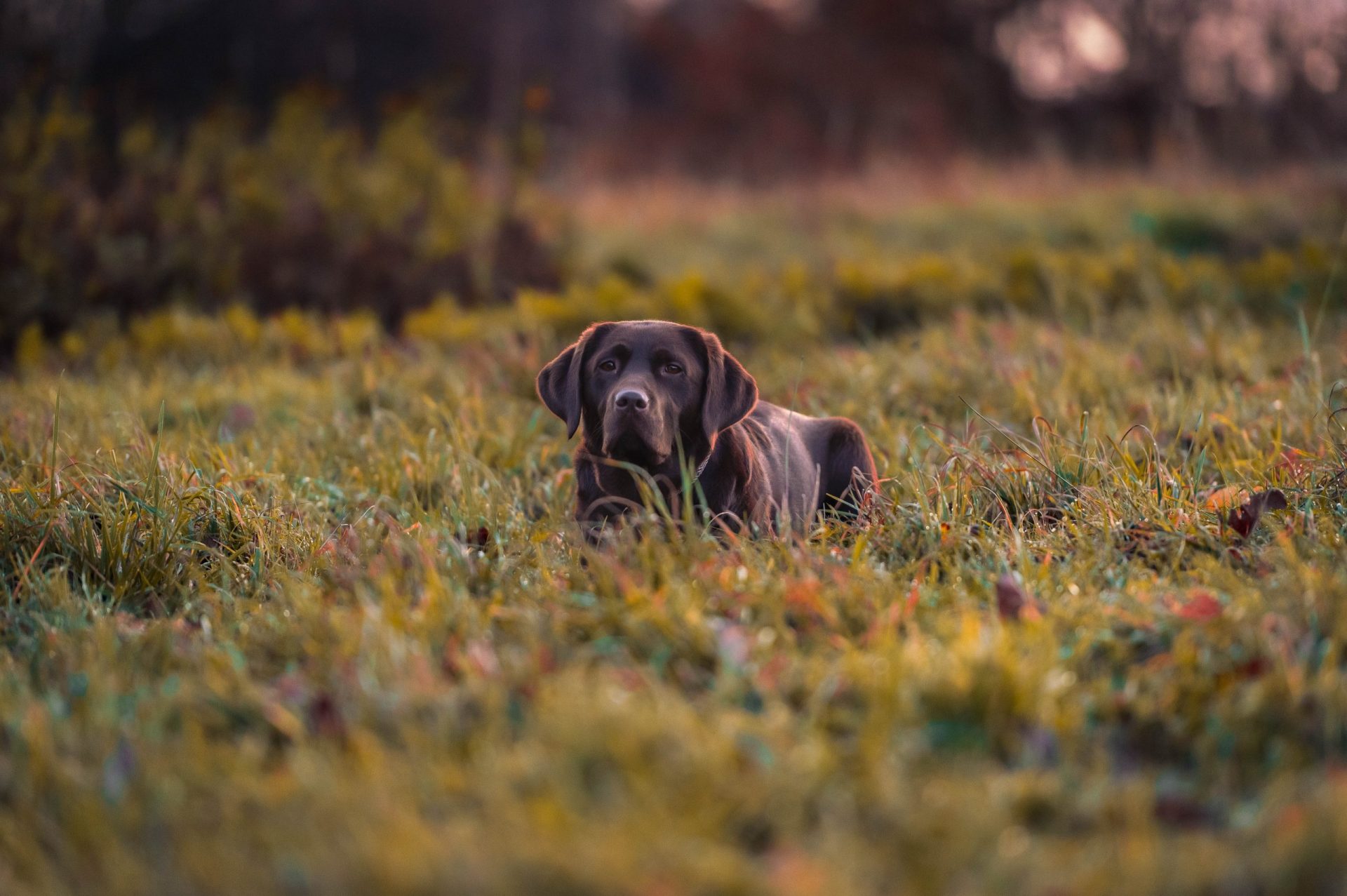 Kopie von Kopie von 2.Fanz.F.–30