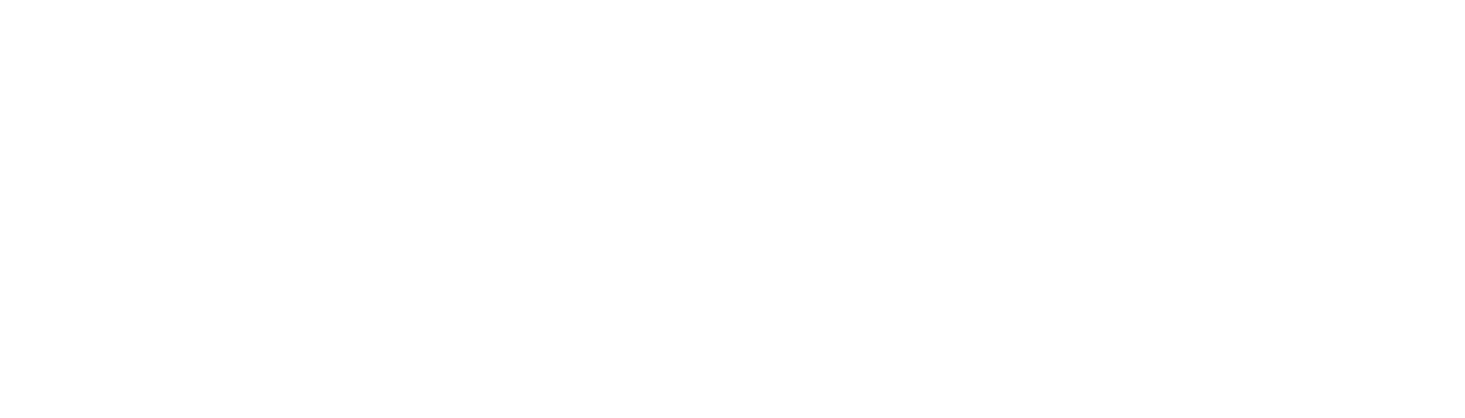 Logo Blendenwunder Fotografie